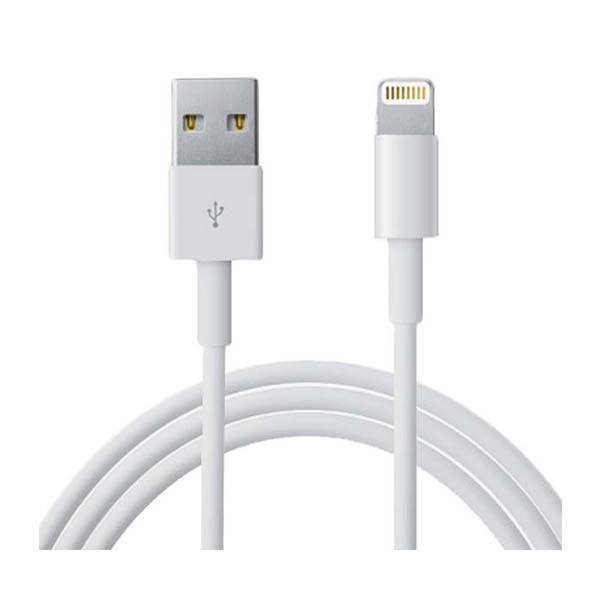 Apple iPhone Cable Lightning Non Pack